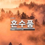 혼수품 뜻