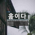 홅이다 뜻: 부피가 조금 크고 많던 것이 다 빠져서 조금 졸아들다., ‘홅다’의 피동사., ‘홅다’의 [국어 사전] 홅이다 뜻: 부피가 조금 크고 많던... 