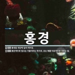 홍경 뜻: 불경을 세상에 널리 퍼뜨림., 붉은색으로 빛나는 거울이라는... 사전] 홍경 뜻: 불경을 세상에 널리 퍼뜨림., 붉은색으로 빛나는... 