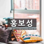 홍보성 뜻