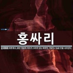 홍싸리 뜻: 화투에서, 붉은 빛깔의 싸리가 그려져 있는 화투짝. 7월이나 일곱 끗을 나타낸다.