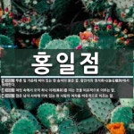 홍일점 뜻: 푸른 잎 가운데 피어 있는 한 송이의 붉은 꽃. 왕안석의 영석류시(詠石榴詩)에서 유래한다. [국어 사전]