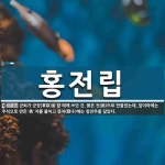 홍전립 뜻: 군뢰가 군장(軍裝)을 할 때에 쓰던 갓. 붉은 전(氈)으로 만들었는데, 앞이마에는 주석으로