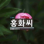 홍화씨 뜻