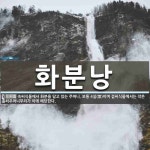 화분낭 뜻
