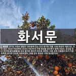 수원 화성의 서문으로, 조선 정조 화서문 뜻: 경기도 수원시 팔달구 장안동에 있는 조선 후기의 건물. 수원 화성의 서문으로, 조선 정조 