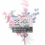 화월 뜻: 꽃과 달을 아울러 이르는 말., 꽃 위에 비치는 달빛., 꽃이 피고 달이 밝은 그윽한 정취 [국어 사전]