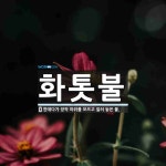 화톳불 뜻: 한데다가 장작 따위를 모으고 질러 놓은 불.