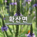 확산면 뜻: 입사광 일부분의 분포를 산란에 의해서 변화시키는 표면.