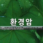 환경암 뜻: 어떤 직업에 일정 기간 이상 종사하는 사람에게 많이 생기는... 다루는 재료에 들어 있는 환경암 뜻: 어떤 직업에 일정 기간 이상... 