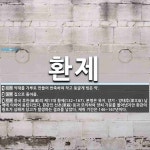 환제 뜻: 약재를 가루로 만들어 반죽하여 작고 둥글게 빚은 약., 집으로 돌아옴., 중국 후한(後漢) [국어 사전]