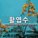 활엽수 뜻: 잎이 넓은 나무의 종류. 떡갈나무, 뽕나무, 상수리나무, 오동나무 따위가 있다.
