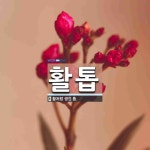 활톱 뜻: 활처럼 생긴 톱.