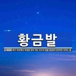 황금발 뜻: 축구 따위에서 득점을 많이 하는 선수의 발을 황금에 비유하여 이르는 말.