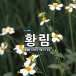 황림 뜻: 버려두어 거칠어진 수풀.