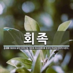회족 뜻: ‘돌궐’을 달리 이르는 말. 대부분 회교(回敎)를 믿었던 까닭에 이렇게 이른다.