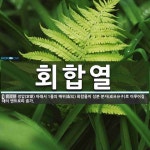 회합열 뜻: 정압(定壓) 아래서 1몰의 배위(配位) 화합물이 성분 분자(成分分子)로 이루어질 때의 엔트