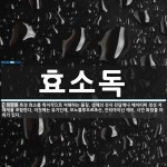 효소독 뜻