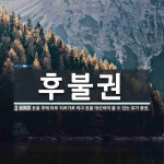동홍동유가돈 | 후불권 뜻: 돈을 후에 따로 치르기로 하고 돈을 대신하여 쓸 수 있는 유가 증권.