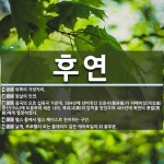 후연 뜻: 뒤쪽의 가장자리., 뒷날의 인연., 중국의 오호 십육국 가운데, 384년에 선비족인 모용수 [국어 사전]
