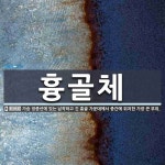 흉골체 뜻