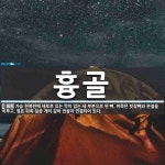 흉골 뜻