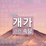 개가에 관한 속담: 76개