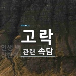 고락에 관한 속담: 1개
