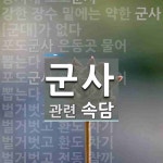 군사에 관한 속담: 20개