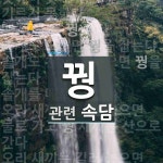 미리내 뜻: ‘은하수’의 방언