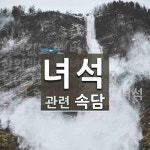 녀석에 관한 속담: 4개