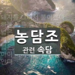 농담조에 관한 속담: 4개