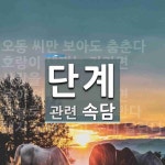 단계에 관한 속담: 4개