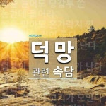 덕망에 관한 속담: 8개