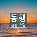 동행에 관한 속담: 3개