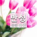 반성에 관한 속담: 1개