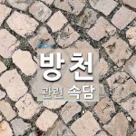 방천에 관한 속담: 1개