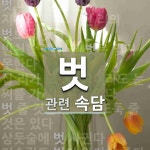 벗에 관한 속담: 7개