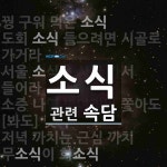 소식에 관한 속담: 6개