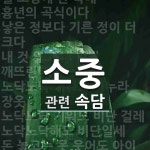 소중에 관한 속담: 29개