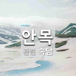안목에 관한 속담: 1개