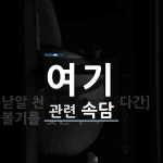 여기에 관한 속담: 1개