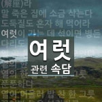 여럿에 관한 속담: 50개