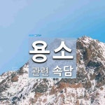 용소에 관한 속담: 1개