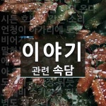 이야기에 관한 속담: 60개