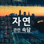 자연에 관한 속담: 12개
