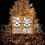 중농에 관한 속담: 1개
