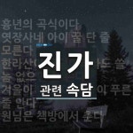 진가에 관한 속담: 5개
