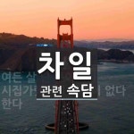차일에 관한 속담: 1개