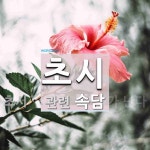 초시에 관한 속담: 1개